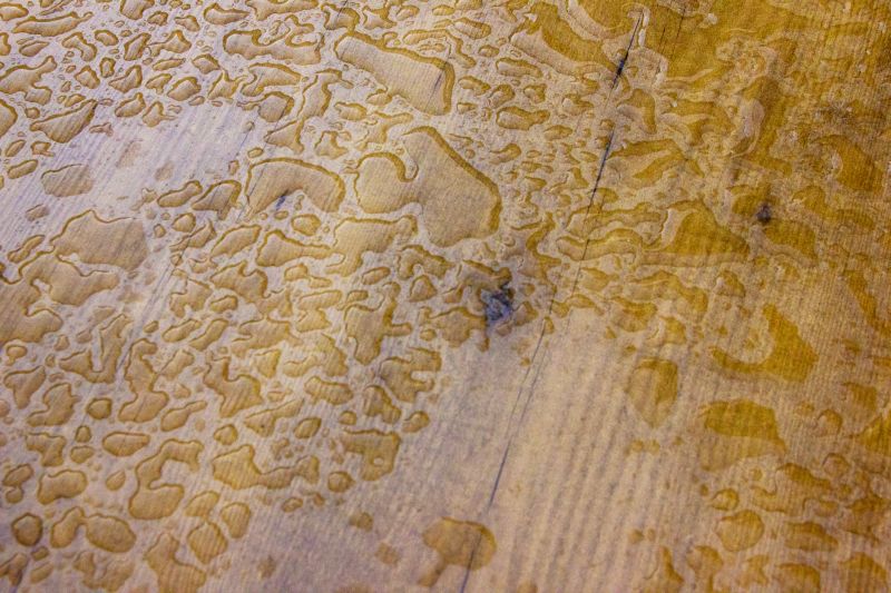 Deck Floor Repair in Seattle, WA