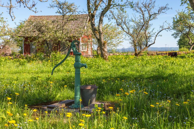 Water Pump Maintenance detail